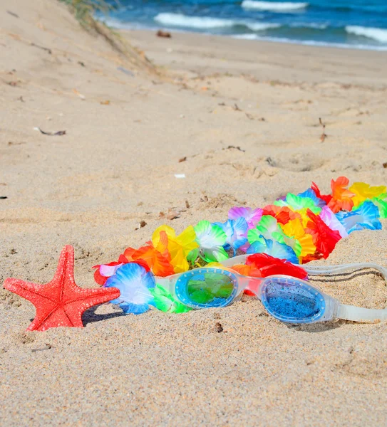 Lunettes, collier et étoile de mer — Photo