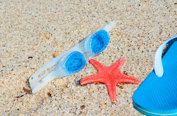 Óculos, estrelas do mar e sandálias — Fotografia de Stock