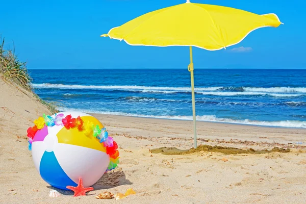 Collar en una pelota de playa — Foto de Stock