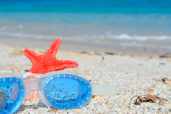 Plage rouge et bleue — Photo