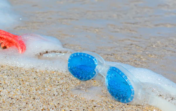 Estrellas de mar y gafas de mar — Foto de Stock