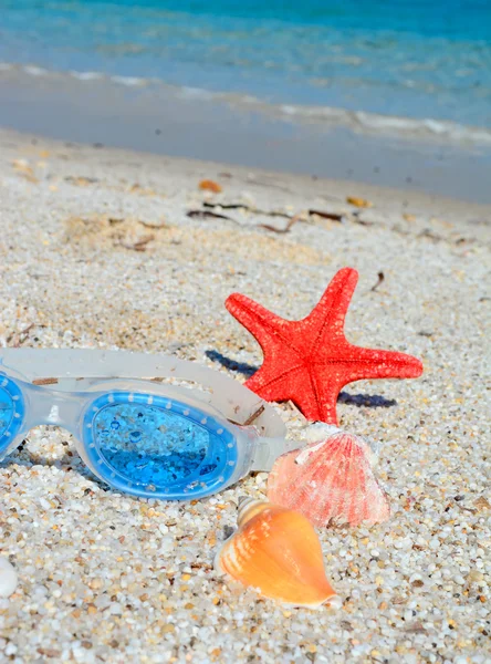 Seashells and goggles — Stock Photo, Image