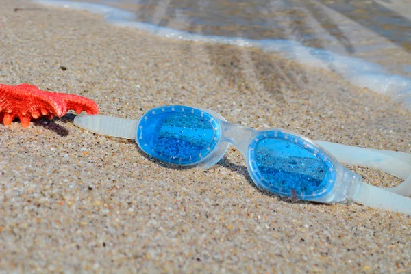 Gafas y estrellas de mar — Foto de Stock