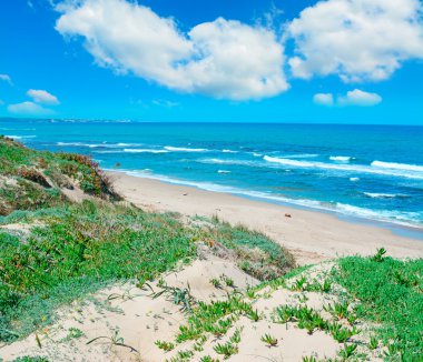 yumuşak Platamona bulutlarda