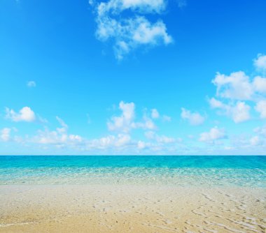 Fiume Santo shore