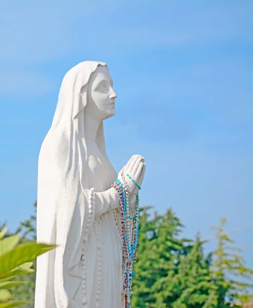 Plantas y estatua —  Fotos de Stock