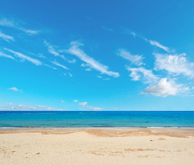 çöl beach