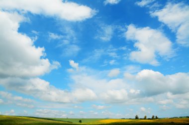 yeşil, sarı ve mavi
