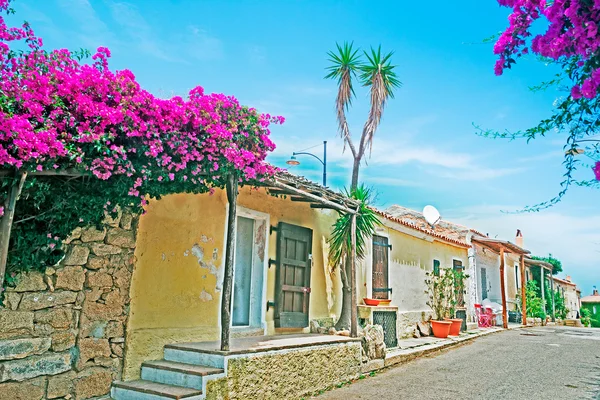 Boungainvillea sokak tarafından — Stok fotoğraf