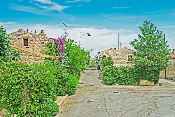 San Pantaleo Straße — Stockfoto