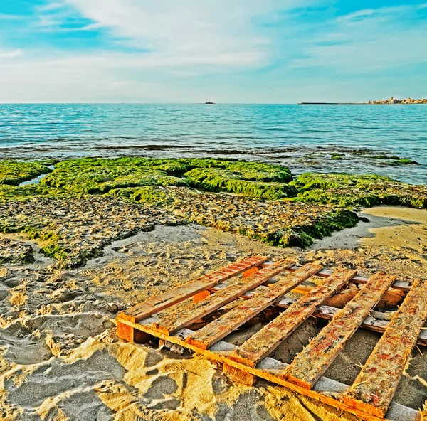 Pallet door de zee — Stockfoto