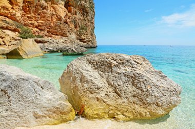 Cala biriola kayalık sahil