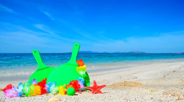 Raquetas junto al mar — Foto de Stock