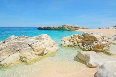 Cala mariolu kum