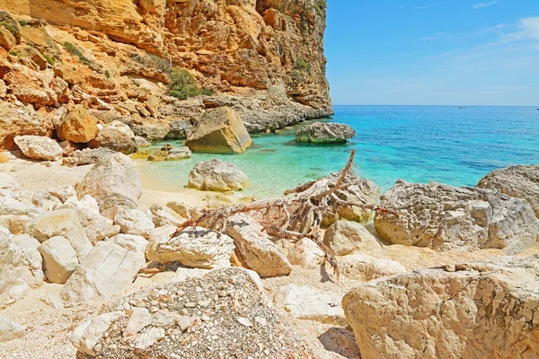 Rocas junto a la orilla — Foto de Stock