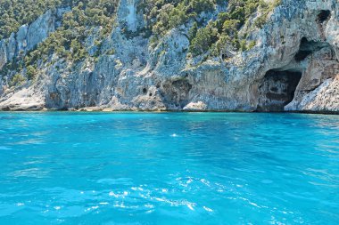 Kaya, bitki ve deniz