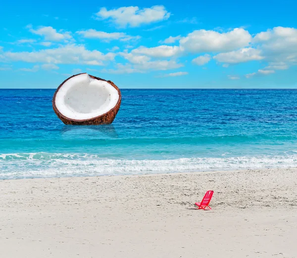 Enorm kokosnöt — Stockfoto