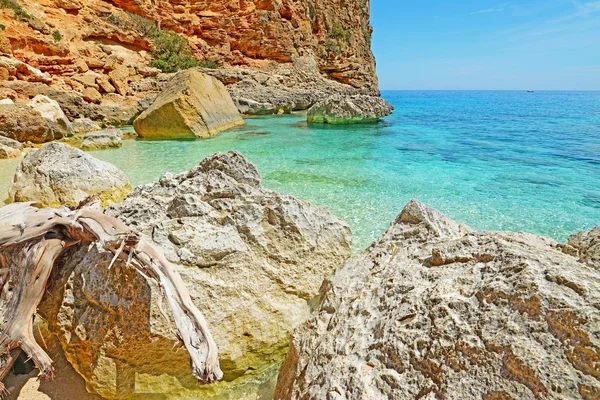 Rocas blancas — Foto de Stock