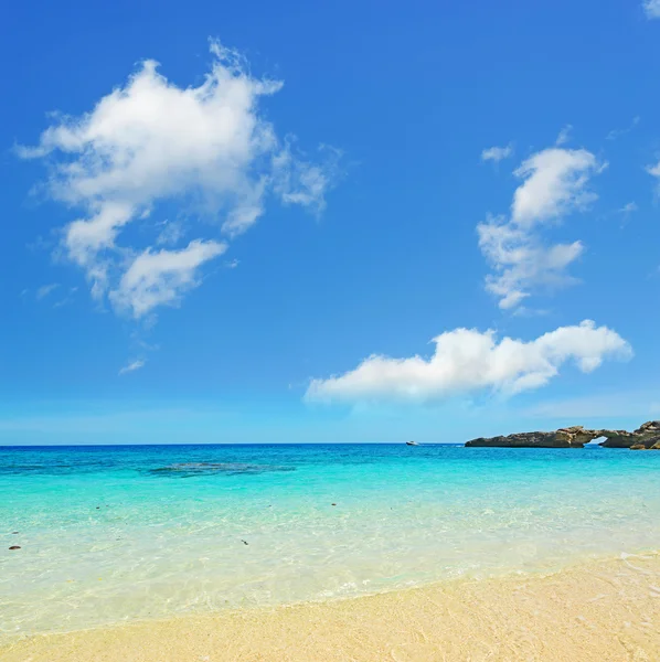 Costa amarilla y nubes — Foto de Stock