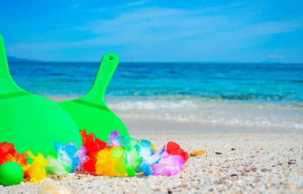 raketleri ve çiçekler