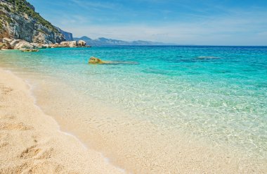 Cala mariolu suların çekildiği kıyı