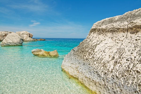 Piedras blancas — Foto de Stock