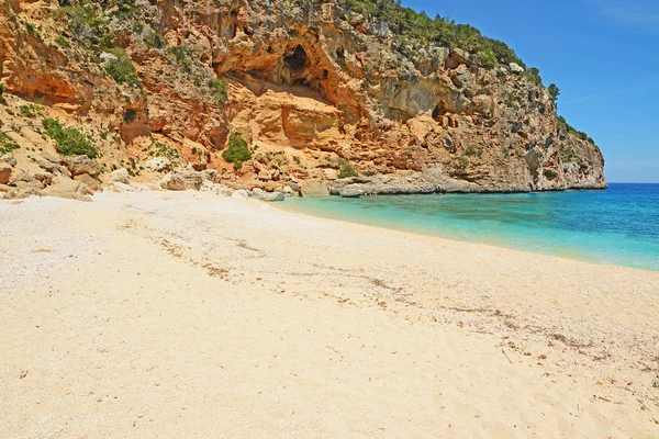 Cala biriola — Stockfoto