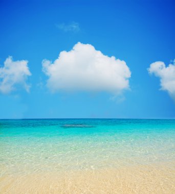 Cala Biriola yumuşak buluta