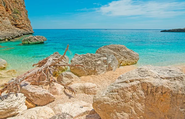 Rocas junto a la orilla — Foto de Stock