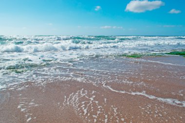 Castelsardo shore dalgalarda