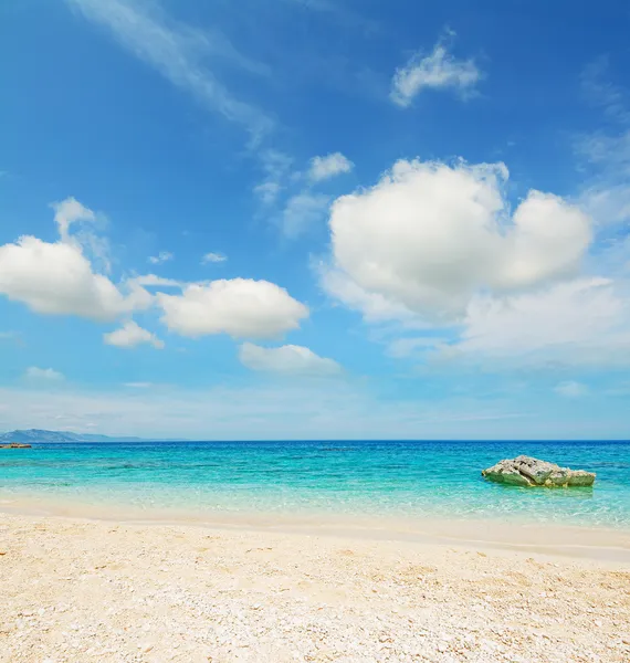cala mariolu bulutlarda