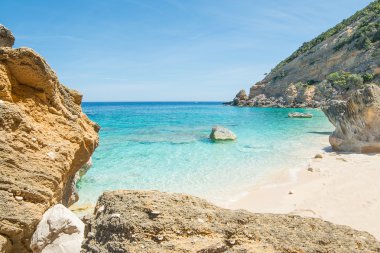 Kayalıklar tarafından shore