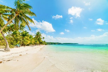 Guadeloupe La Caravelle plajda berrak su, Fransız batı hint adaları. Küçük Antiller, Karayip denizi