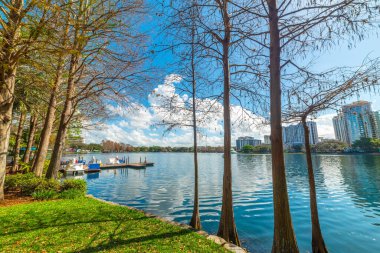 Eola Gölü 'nün kıyısındaki ağaçlar. Orlando, ABD