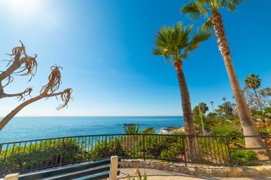 Terrace by the sea in Laguna Beach. California, USA clipart