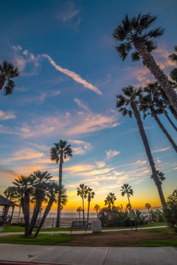 Dünyaca ünlü Santa Monica sahilindeki deniz kenarındaki palmiye ağaçları gün batımında. Kaliforniya, ABD
