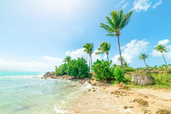 Schöner Bas Fort Strand Guadeloupe Französisch Westindien Kleine Antillen Karibik — Stockfoto