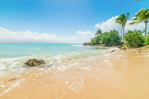 Guadeloupe Bas du Fort kıyısında Altın kum, Fransız batı hint adaları. Küçük Antiller, Karayip denizi