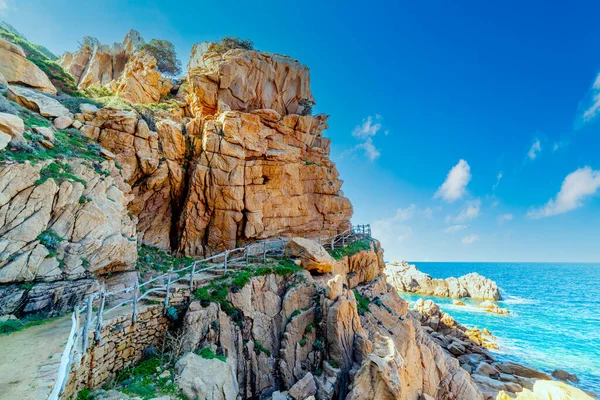 Costa Paradiso Deniz Kenarında Sardunya Talya — Stok fotoğraf