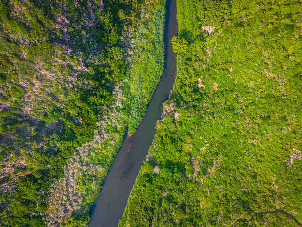 Yeşil bitki örtüsüyle çevrili Mannu nehrinin havadan görünüşü. Sardunya, İtalya