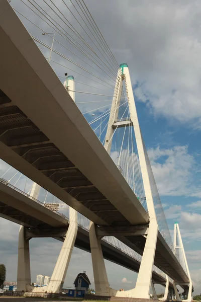 Schrägseilbrücke — Stockfoto