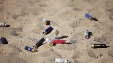 Profesyonel tetikçi