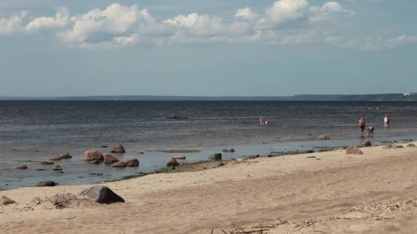 Praia selvagem — Vídeo de Stock