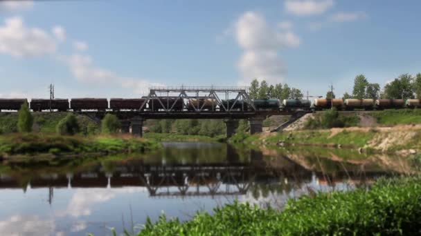 Freight train on the bridge — Stock Video