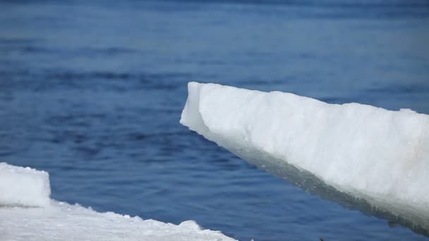 Hielo y agua — Vídeos de Stock