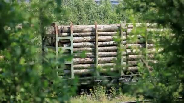 Tren de mercancías con madera — Vídeo de stock