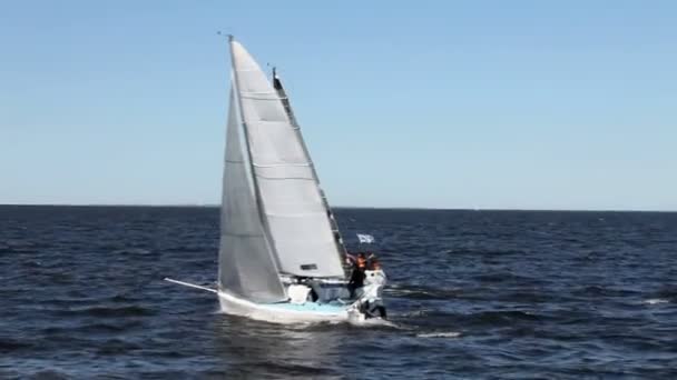 Yacht Race vista laterale — Video Stock