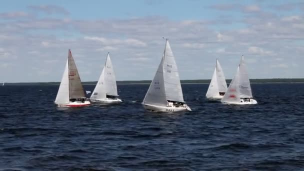 La carrera es barcos de vela — Vídeo de stock