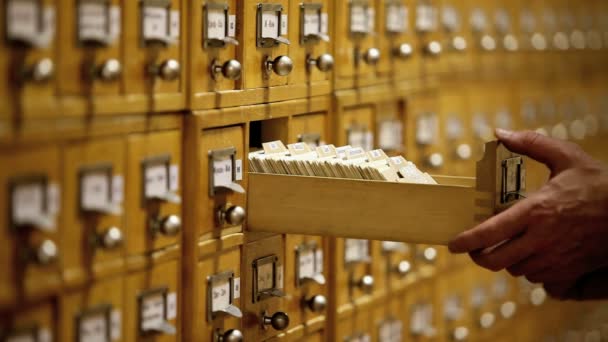 Catálogo de la tarjeta de biblioteca — Vídeo de stock