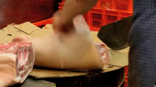 Costeletas de porco — Vídeo de Stock